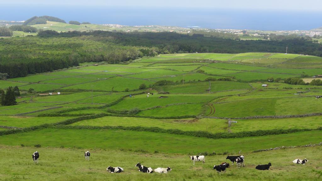 Quinta Do Chico Feijao Villa Lajes Cameră foto